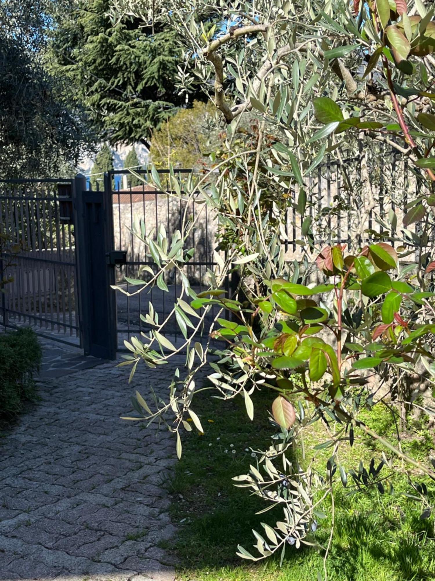Ferienwohnung Casa Noario Malcesine Exterior foto